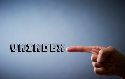 chỉ số vnindex