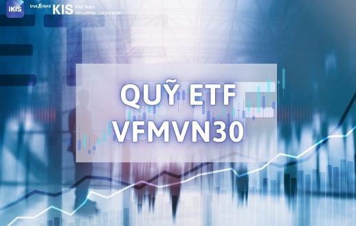 Quỹ ETF VFMVN30