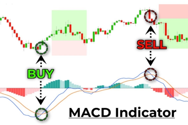 đường MACD