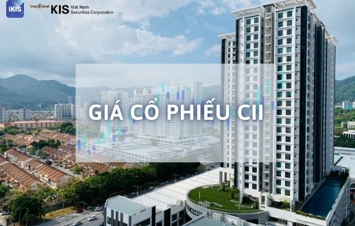 giá cổ phiếu cii