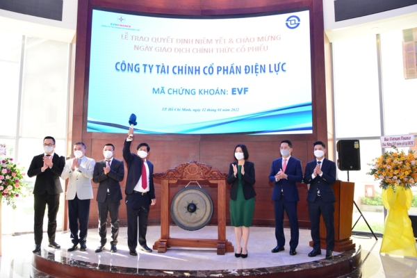 lịch sử giá cổ phiếu evf