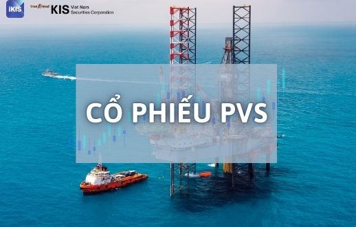 Cổ Phiếu PVS