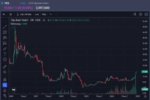 Lịch sử giá cổ phiếu YEG 