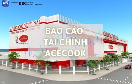 báo cáo tài chính Acecook