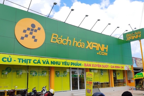 Phân tích báo cáo tài chính MWG