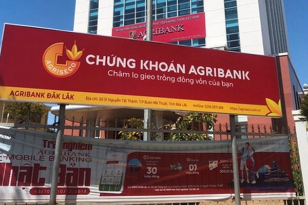 báo cáo tài chính AGR
