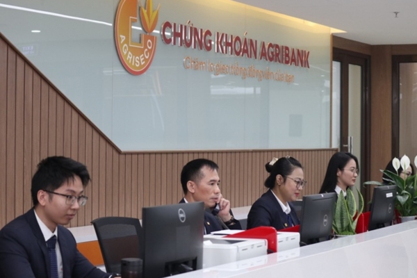 báo cáo tài chính AGR