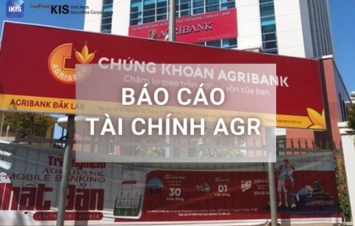 báo cáo tài chính AGR