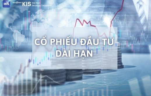 cổ phiếu đầu tư dài hạn