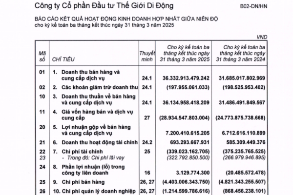 Phân tích báo cáo tài chính MWG
