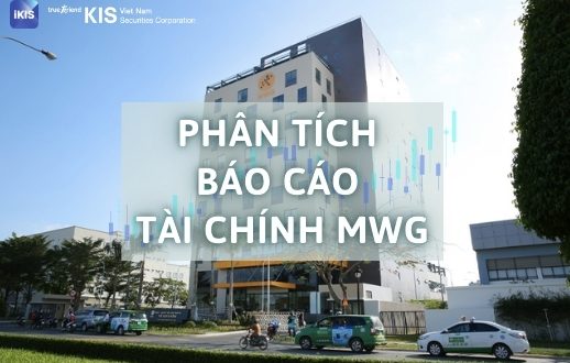 Phân tích báo cáo tài chính MWG