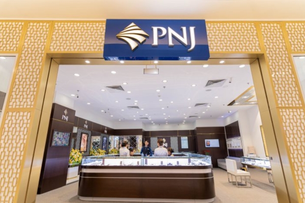 phân tích báo cáo tài chính PNJ