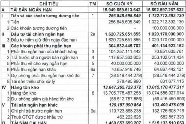 phân tích báo cáo tài chính PNJ