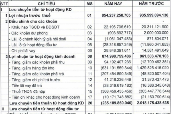 phân tích báo cáo tài chính PNJ