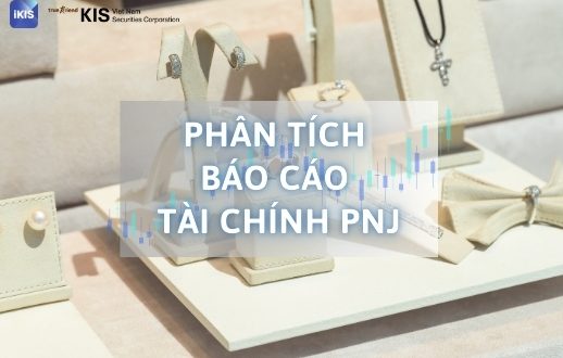 phân tích báo cáo tài chính PNJ