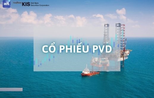 cổ phiếu PVD
