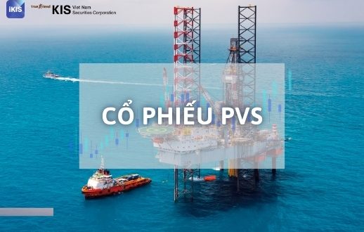 mã cổ phiếu PVS