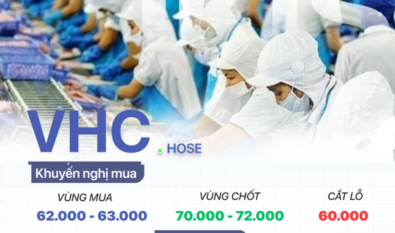 VHC