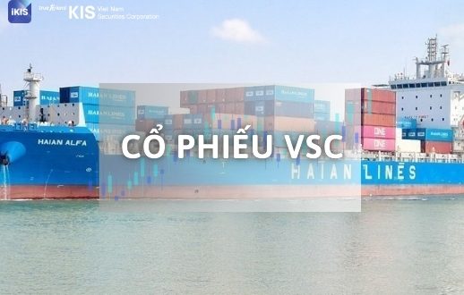 Cổ phiếu VSC