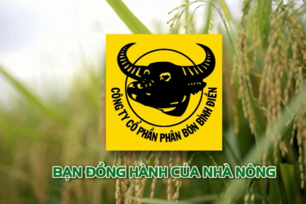 cổ phiếu BFC