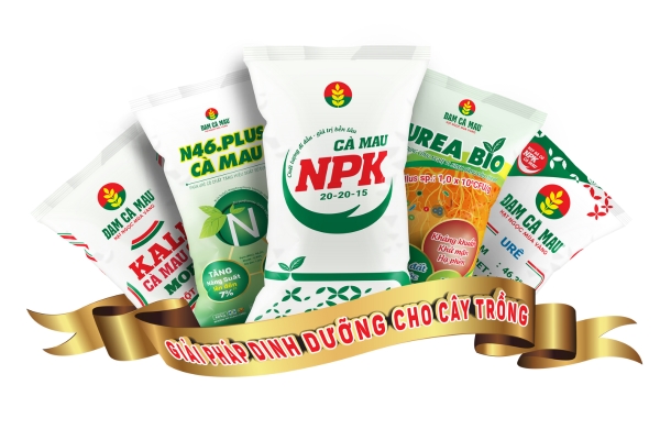 cổ phiếu DCM