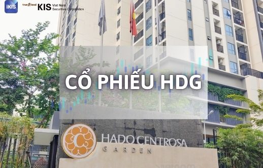 cổ phiếu HDG