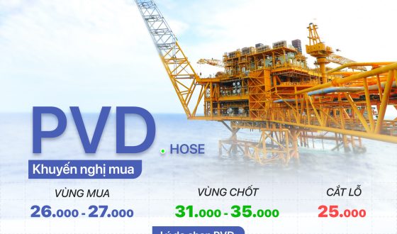 Co phieu PVD