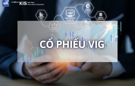 cổ phiếu VIG