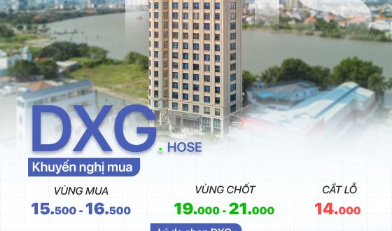 cổ phiếu DXG