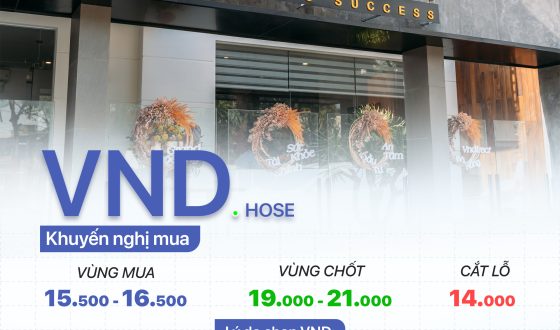 cổ phiếu VND