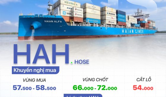 cổ phiếu HAH