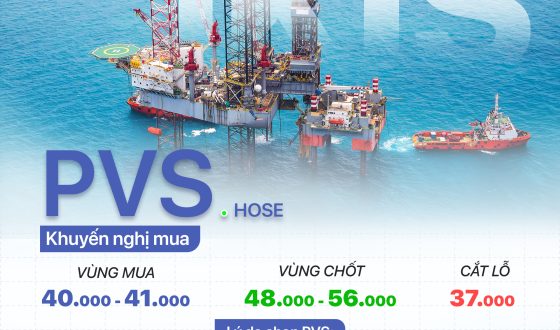 cổ phiếu PVS