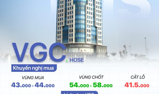 cổ phiếu VGC